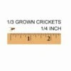 1/3 Grown, 1/4 Inch Feeder Crickets
