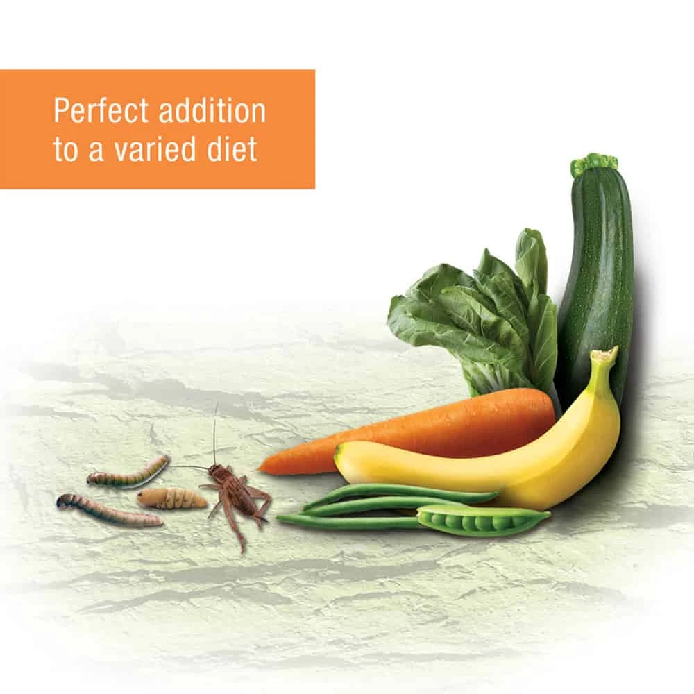 Zilla Reptile Munchies β Omnivore Mix With Calcium - Image 4