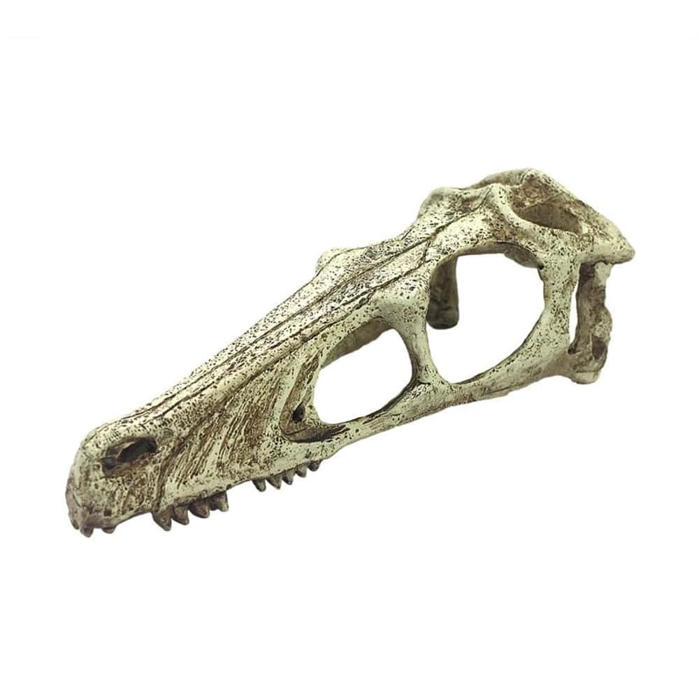 Komodo Raptor Skull Reptile Cave - Image 3