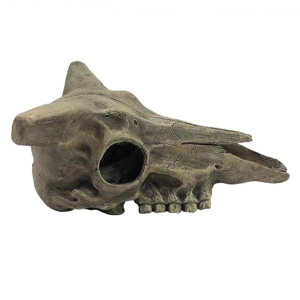 Komodo Deer Skull Reptile Cave - Image 3