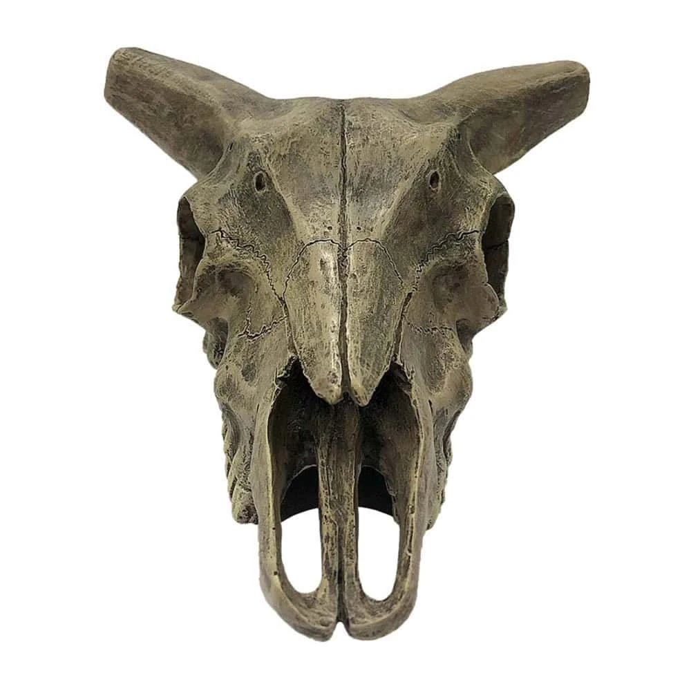 Komodo Deer Skull Reptile Cave - Image 2