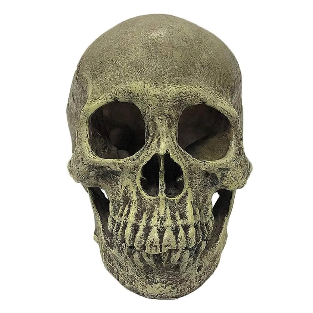 Komodo Full Human Skull Reptile Hideout - Image 3