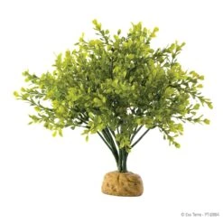 Exo Terra Rainforest Plant – Boxwood Bush
