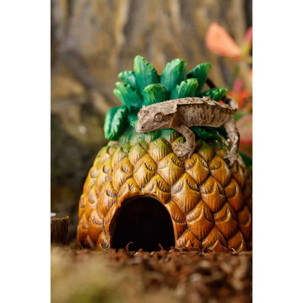 Exo Terra Pineapple Hide - Image 2