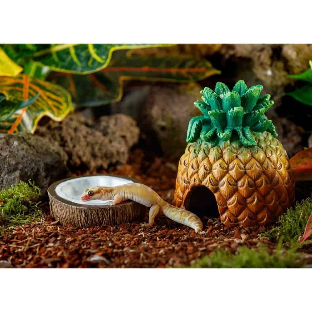 Exo Terra Pineapple Hide - Image 4