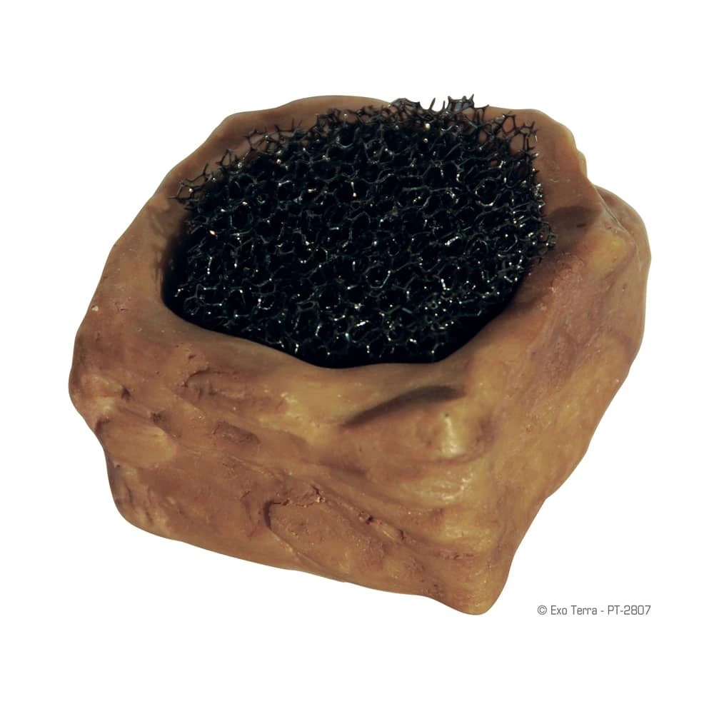 Exo Terra Invertebrate Water Dish With Foam