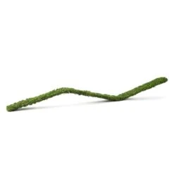Galapagos Flexible Bridge Terrarium Ornament – Fresh Green 3ft