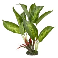 Blue Ribbon Pet Products Dieffenbachia Plant
