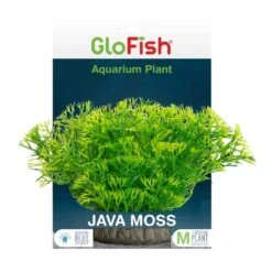 GloFish Java Moss Aquarium Plant