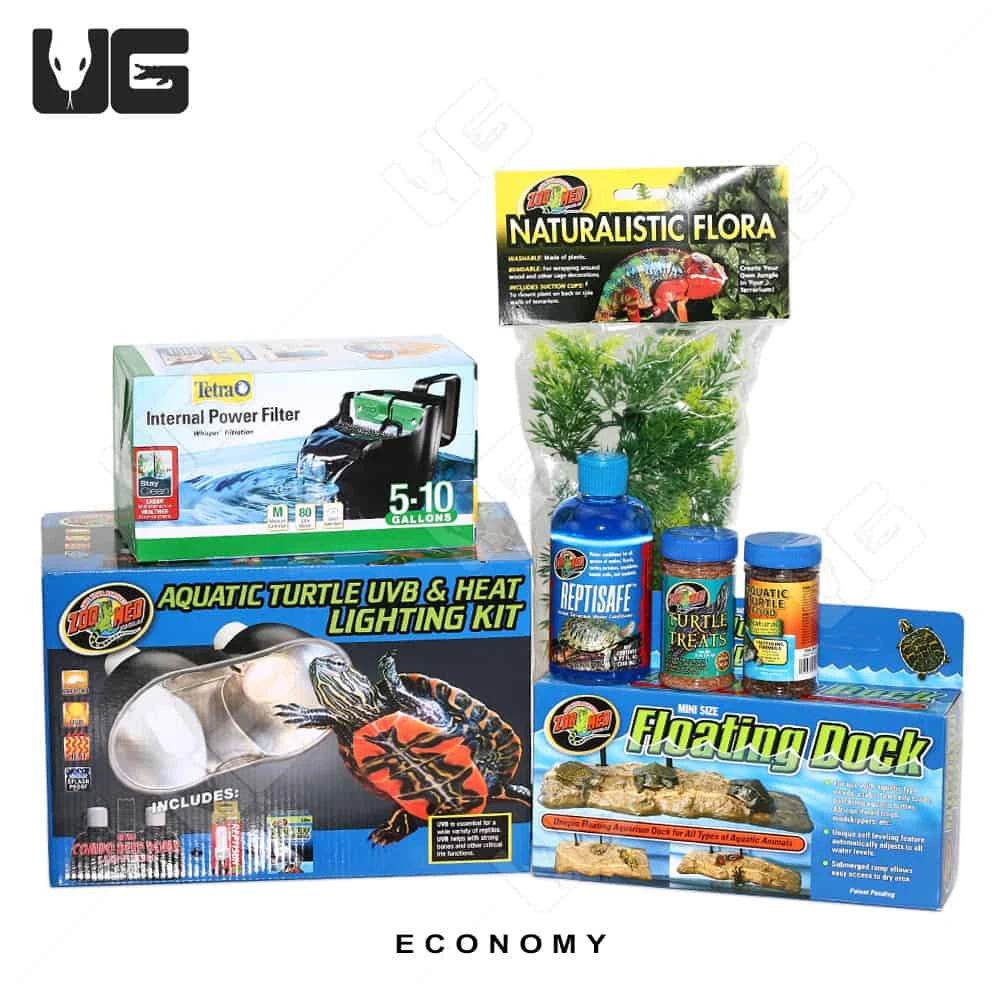 COMPLETE 10 Gallon Baby Aquatic Turtle Setup - Image 5