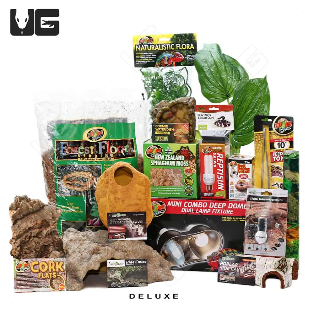 COMPLETE 20 Gallon Baby Corn/King/Milk/Rat Snake Setup - Image 2