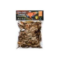 Galapagos Live Oak Leaves – 4 Qt