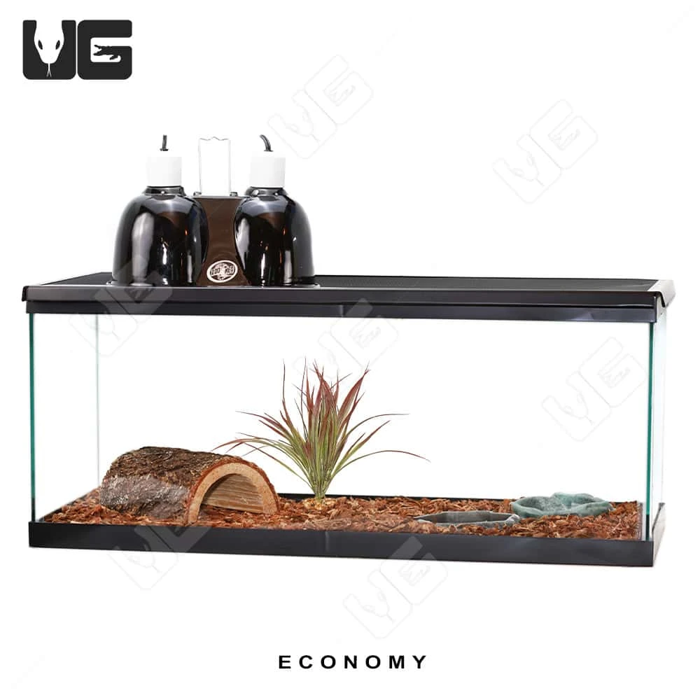 COMPLETE Baby Grassland Tortoise Setup - Image 7