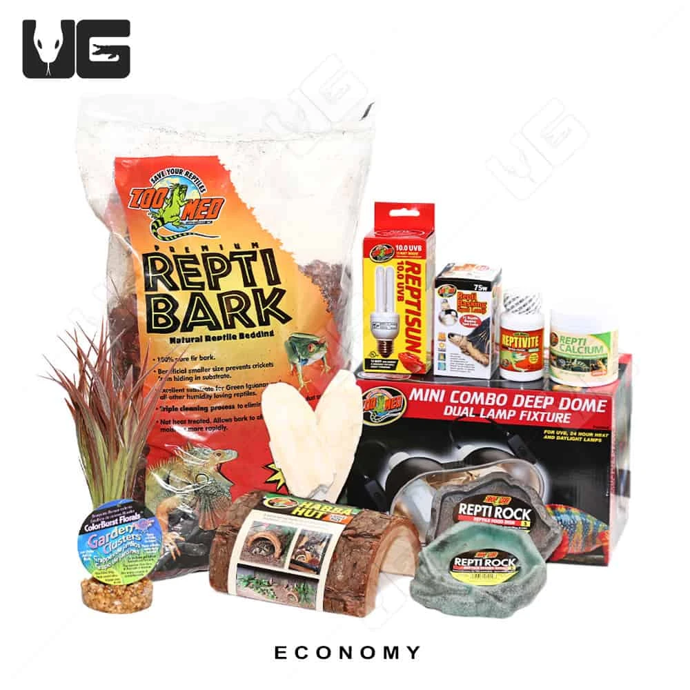 COMPLETE Baby Grassland Tortoise Setup - Image 5