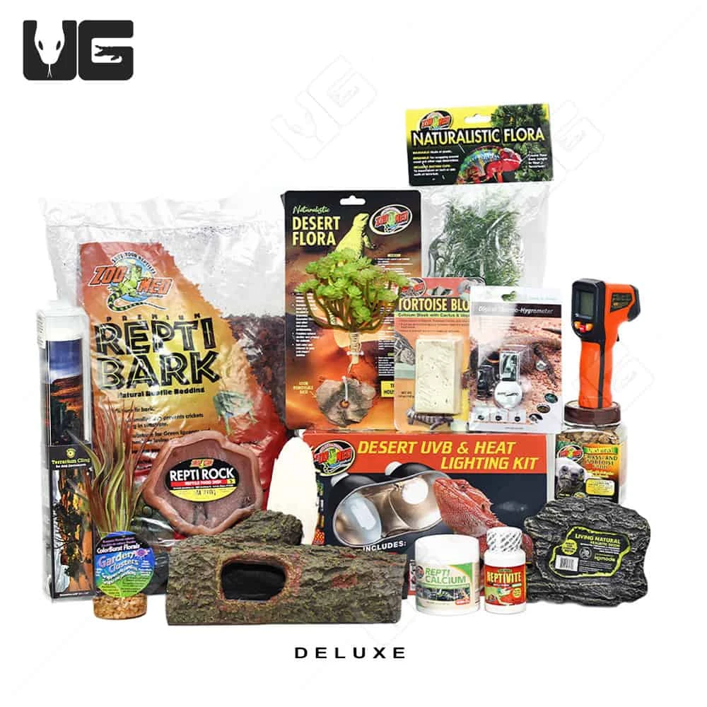 COMPLETE Baby Grassland Tortoise Setup - Image 2