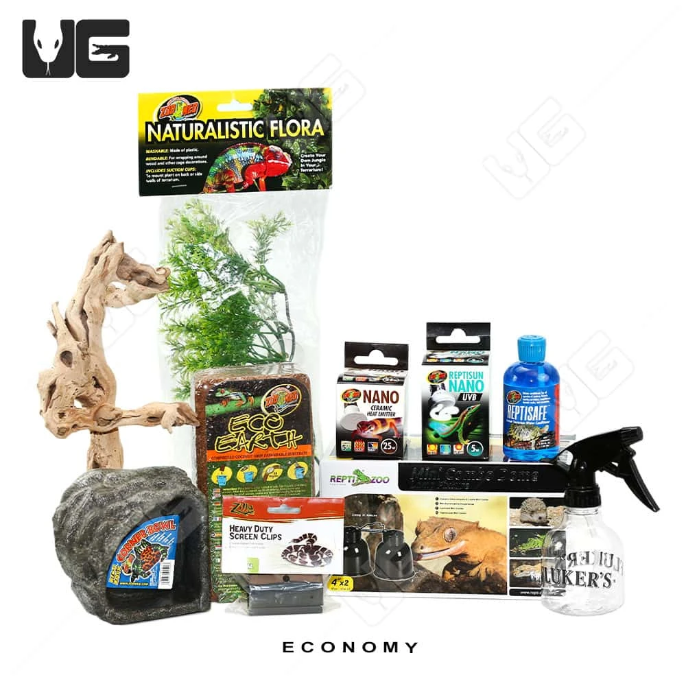 COMPLETE 10 Gallon Tree Frog Setup - Image 7