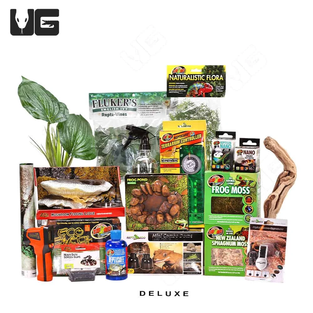 COMPLETE 10 Gallon Tree Frog Setup - Image 2