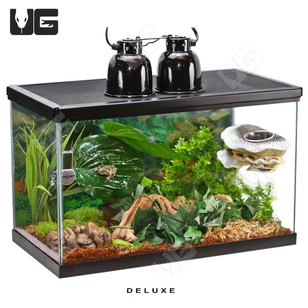 COMPLETE 10 Gallon Tree Frog Setup - Image 4