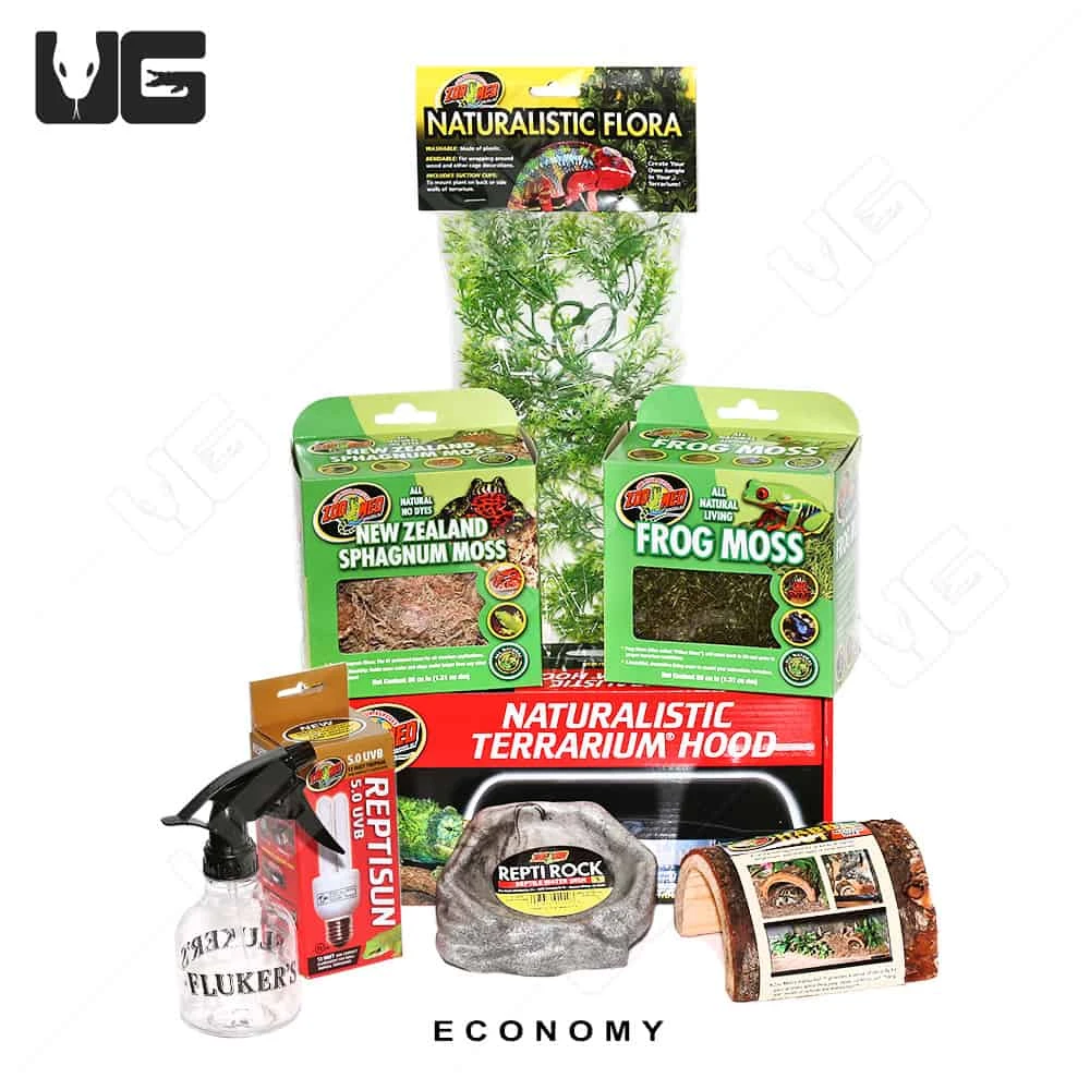 COMPLETE Dart Frog Setup - Image 6