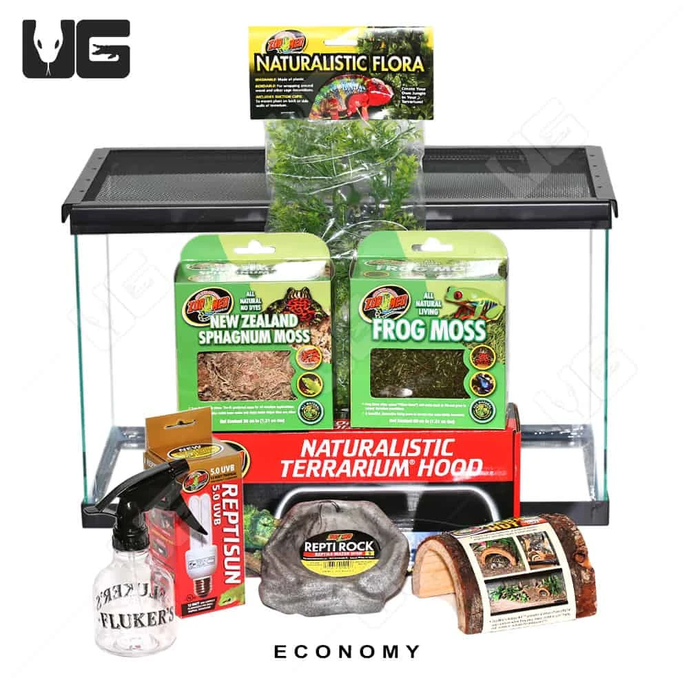 COMPLETE Dart Frog Setup - Image 5