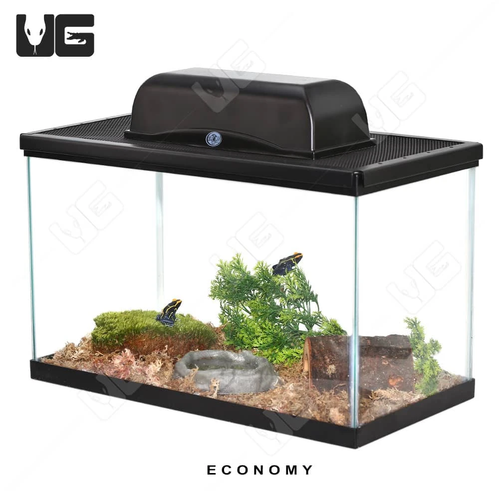 COMPLETE Dart Frog Setup - Image 7