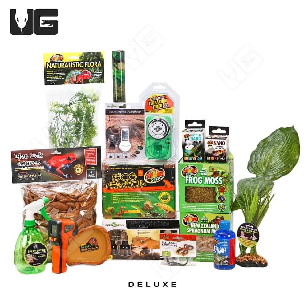 COMPLETE Dart Frog Setup - Image 2