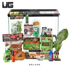 COMPLETE Dart Frog Setup