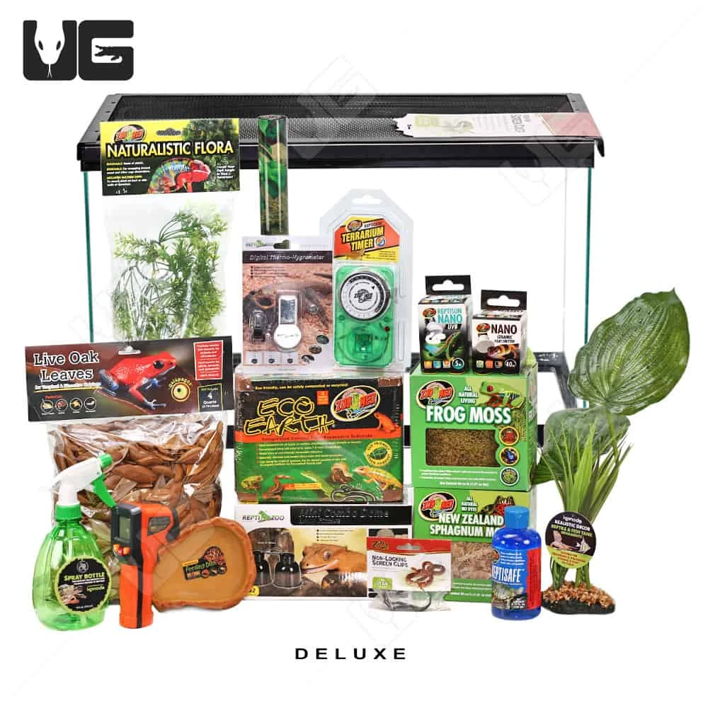 COMPLETE Dart Frog Setup