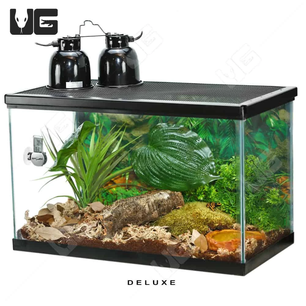COMPLETE Dart Frog Setup - Image 3
