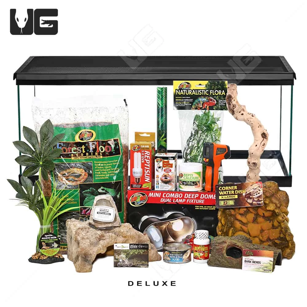 COMPLETE Baby Monitor Setup