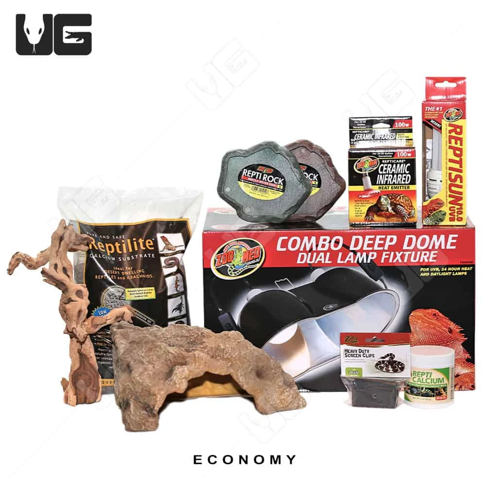 COMPLETE Uromastyx Setup - Image 3