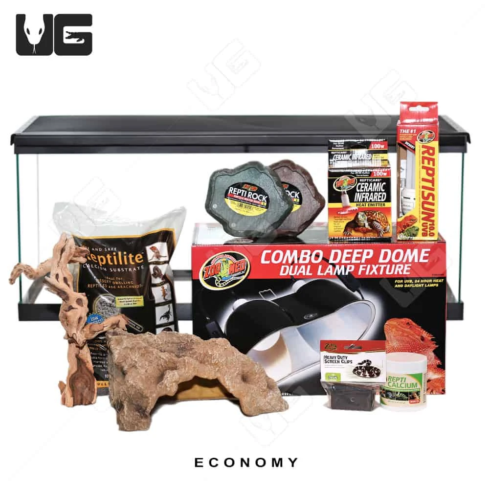 COMPLETE Uromastyx Setup - Image 2