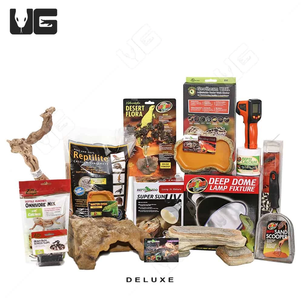 COMPLETE Uromastyx Setup - Image 6