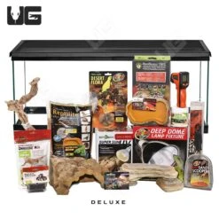 COMPLETE Uromastyx Setup