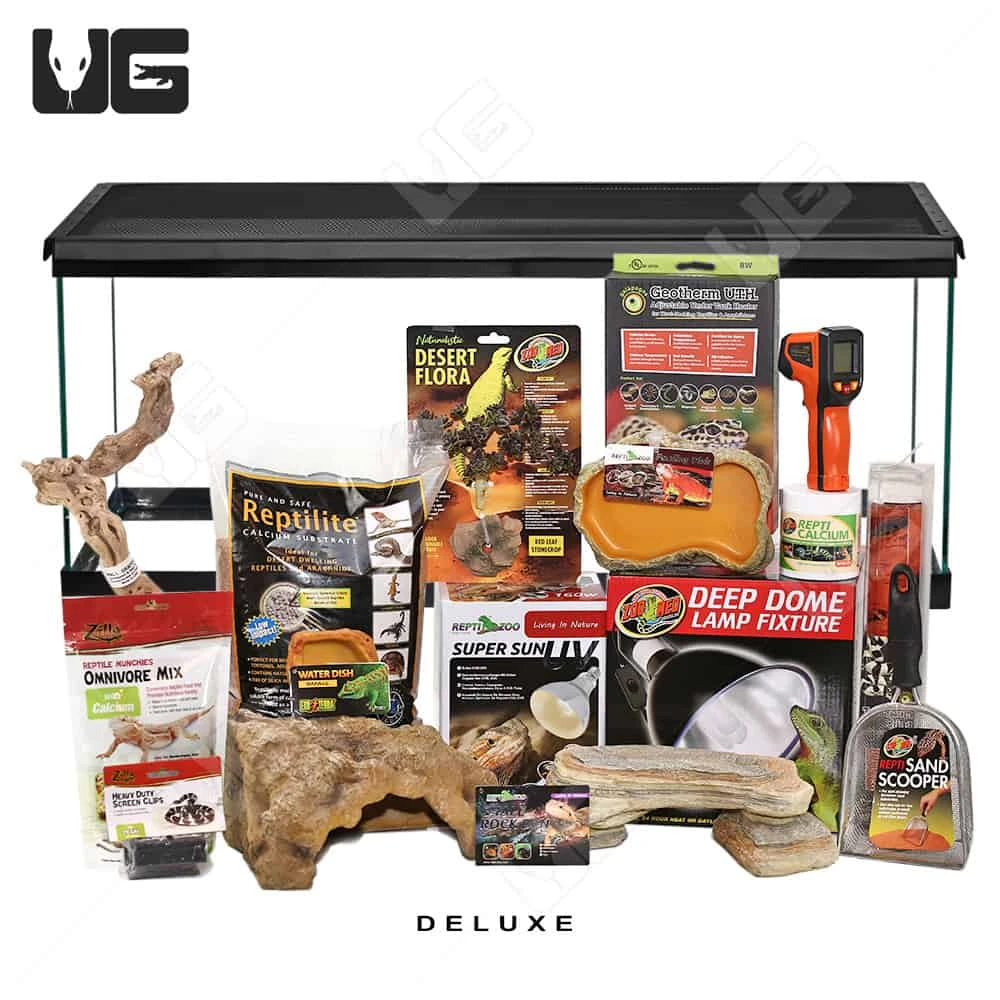 COMPLETE Uromastyx Setup