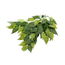 Reptizoo Banyan Vine