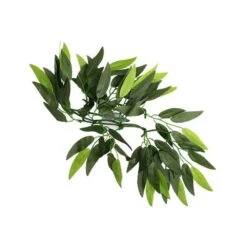 Reptizoo Zosterifolia Vine