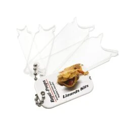 Repti-Props Specula – Lizard