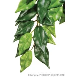 Exo Terra Silk Plant – Ficus