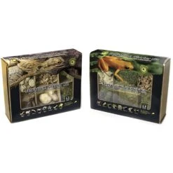 Galapagos Humid Terrarium Starter Kit