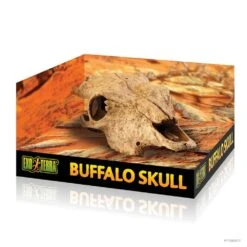 Exo Terra Buffalo Skull Hide