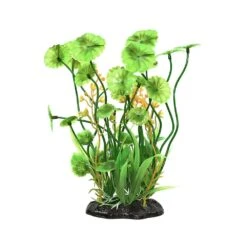 Reptizoo Hydrocotyle Vulgaris Plant