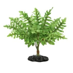 Reptizoo Boston Fern