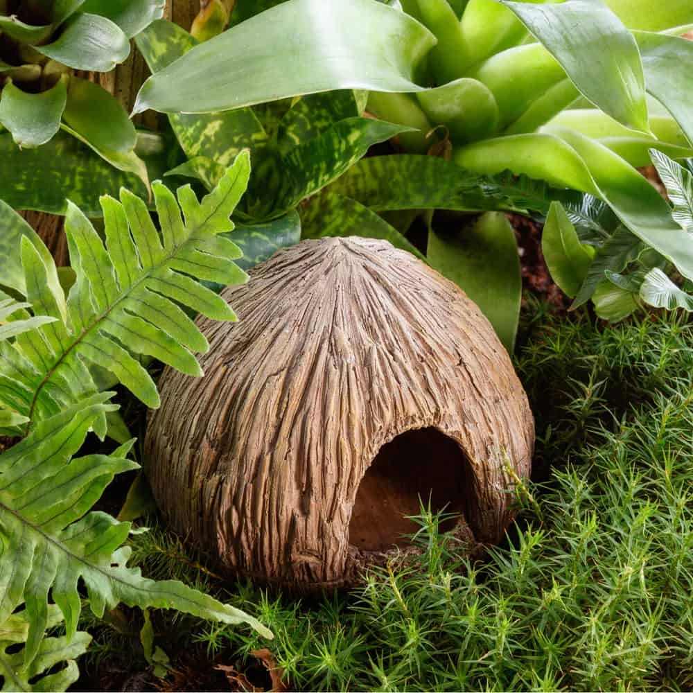Exo Terra Coconut Cave β Nesting & Egg-Laying Hide - Image 3