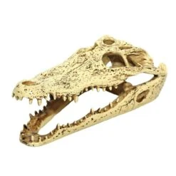 Komodo Alligator Skull Hideout