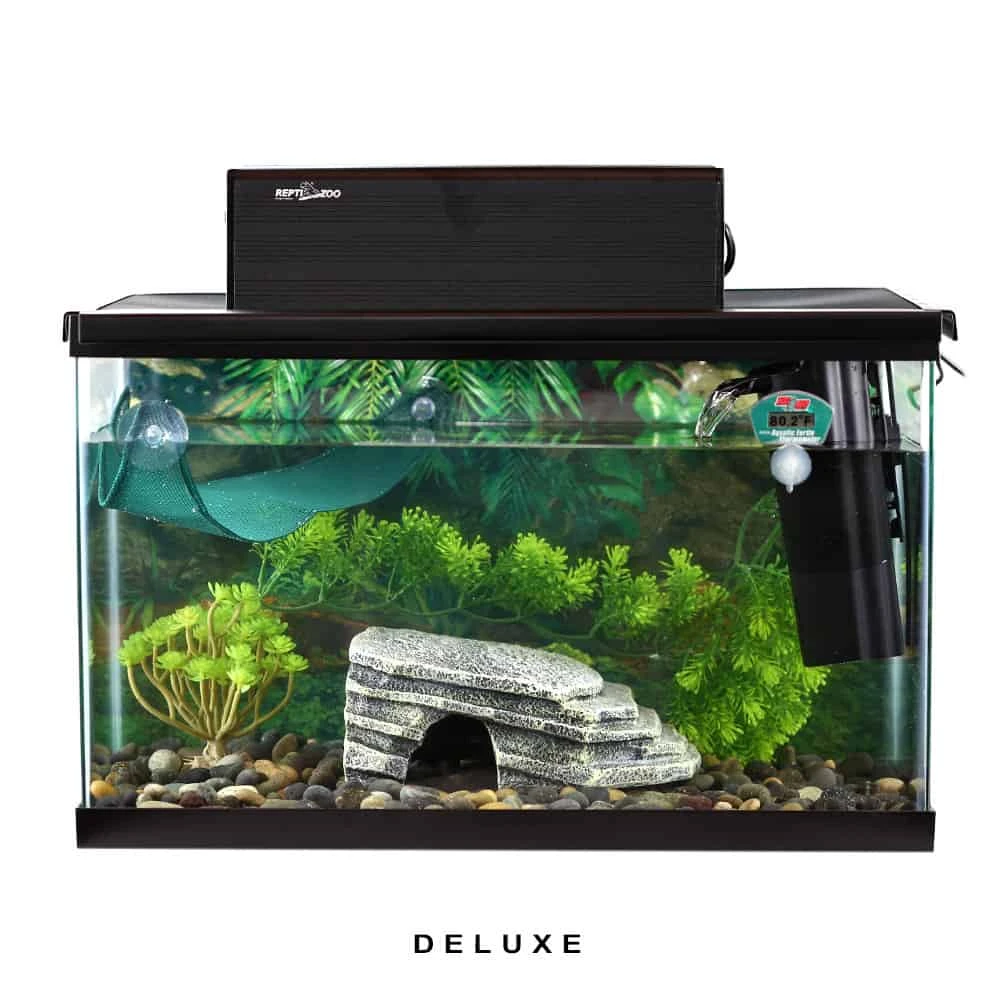 COMPLETE Axolotl Setup - Image 3