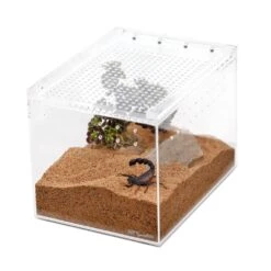 REPTIZOO โ Acrylic Habitat โ 6โ X 8โ X 6โ