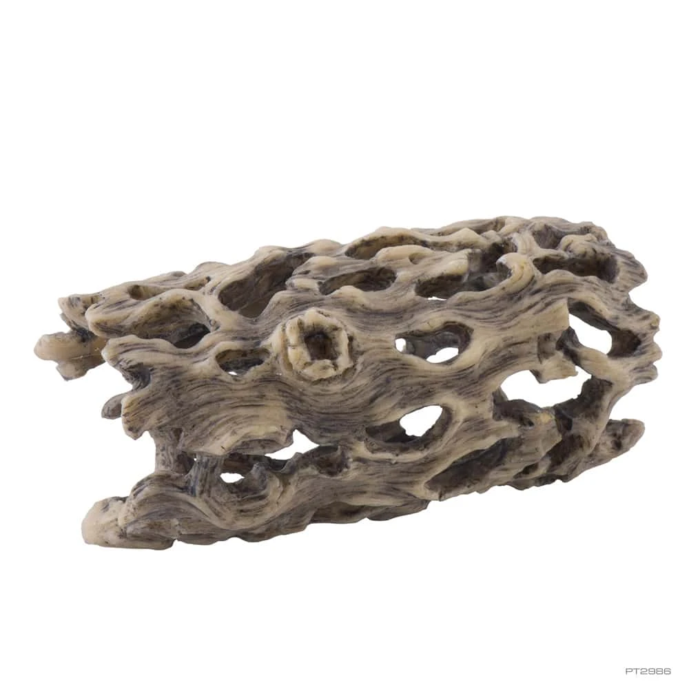 Exo Terra Cholla Cactus Skeleton - Image 3