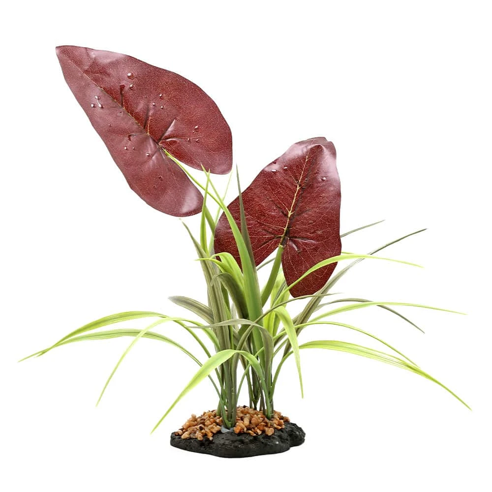 Komodo Rainforest Canopy Plant With Weighted Base