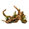 Blue Ribbon Pet Products Driftwood W/ Plants
